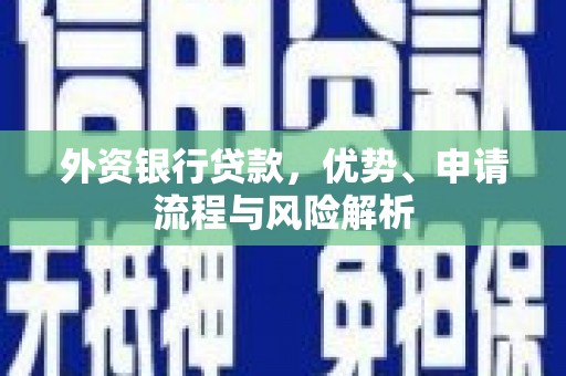 南城外资银行贷款，优势、申请流程与风险解析