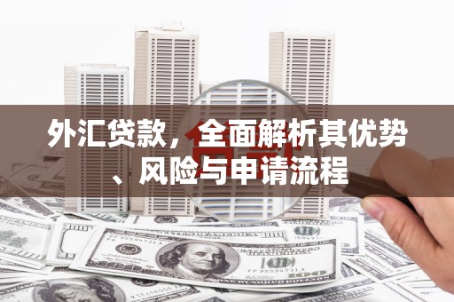 南城外汇贷款，全面解析其优势、风险与申请流程