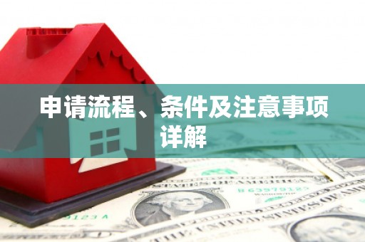 南城申请流程、条件及注意事项详解
