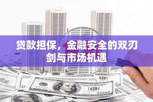南城贷款担保，金融安全的双刃剑与市场机遇