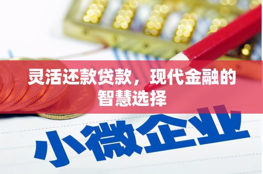 南城灵活还款贷款，现代金融的智慧选择