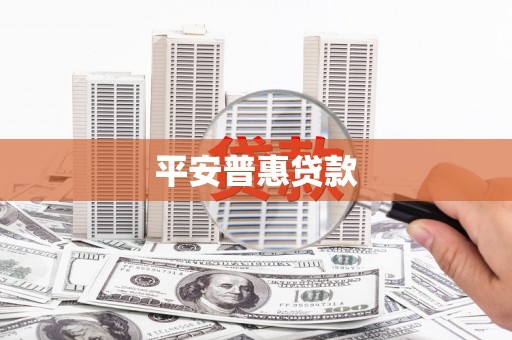 南城平安普惠贷款