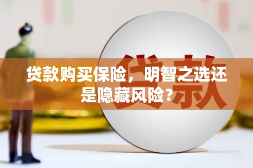 南城贷款购买保险，明智之选还是隐藏风险？
