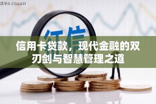 南城信用卡贷款，现代金融的双刃剑与智慧管理之道