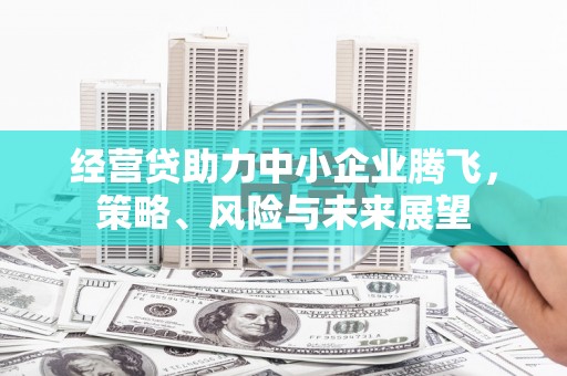 南城经营贷助力中小企业腾飞，策略、风险与未来展望