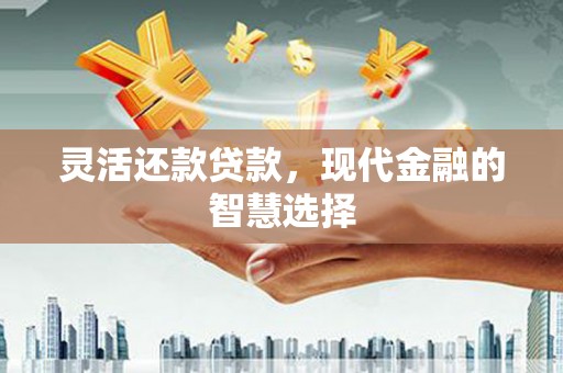 南城灵活还款贷款，现代金融的智慧选择