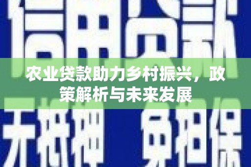 南城农业贷款助力乡村振兴，政策解析与未来发展