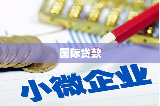 南城国际贷款