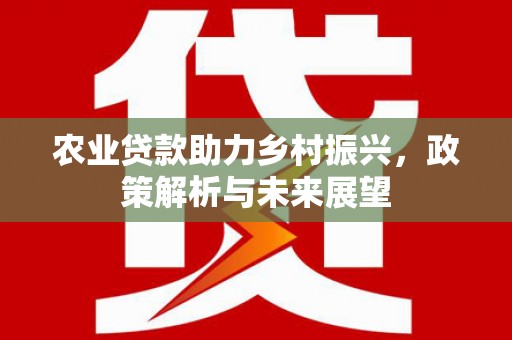 南城农业贷款助力乡村振兴，政策解析与未来展望
