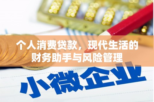 南城个人消费贷款，现代生活的财务助手与风险管理
