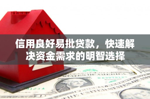 南城信用良好易批贷款，快速解决资金需求的明智选择