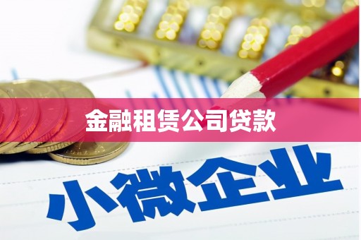 南城金融租赁公司贷款
