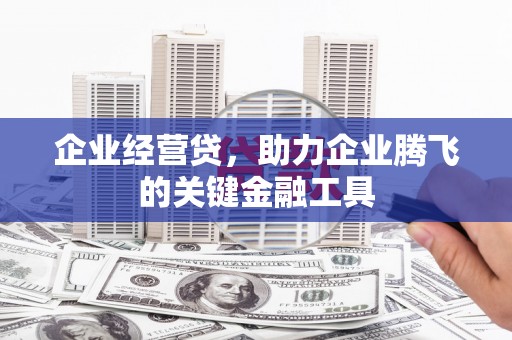 南城企业经营贷，助力企业腾飞的关键金融工具