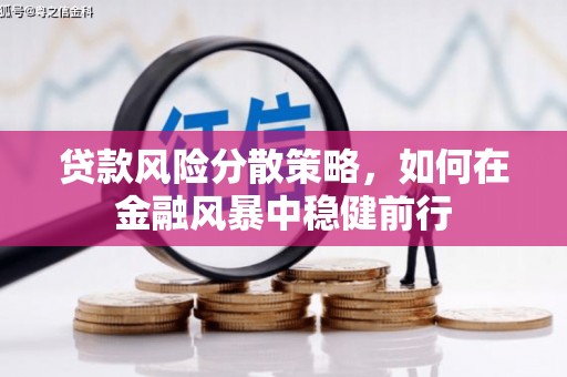 南城贷款风险分散策略，如何在金融风暴中稳健前行