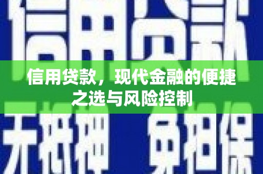 南城信用贷款，现代金融的便捷之选与风险控制