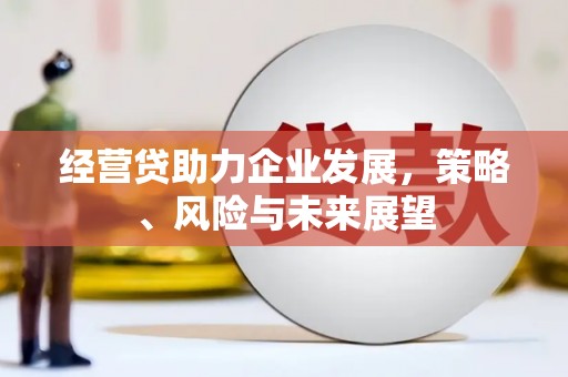南城经营贷助力企业发展，策略、风险与未来展望