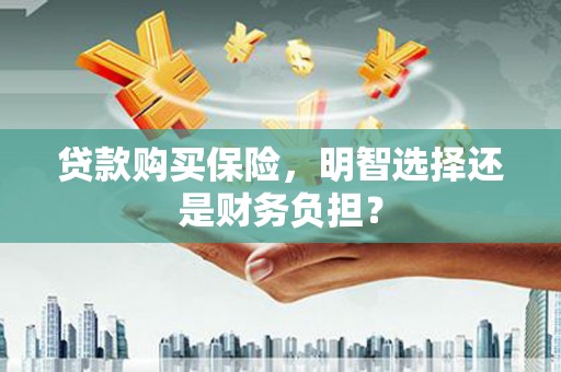 南城贷款购买保险，明智选择还是财务负担？