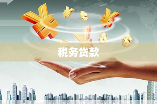 南城税务贷款
