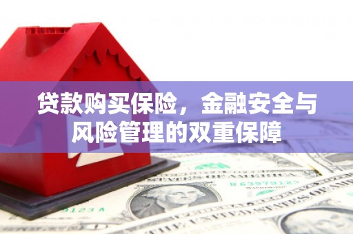 南城贷款购买保险，金融安全与风险管理的双重保障