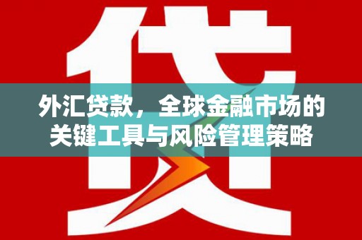 南城外汇贷款，全球金融市场的关键工具与风险管理策略