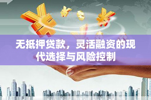 南城无抵押贷款，灵活融资的现代选择与风险控制