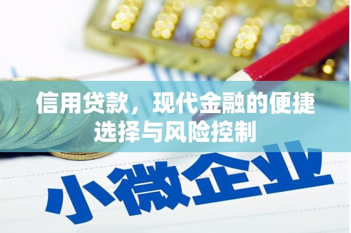 南城信用贷款，现代金融的便捷选择与风险控制