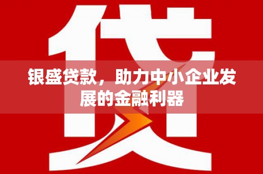 南城银盛贷款，助力中小企业发展的金融利器