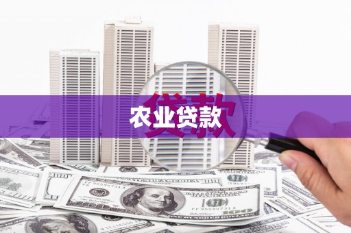 南城农业贷款