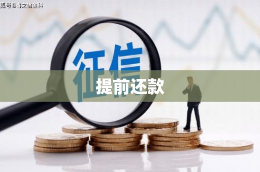 南城提前还款