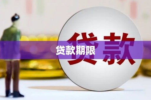 南城贷款期限