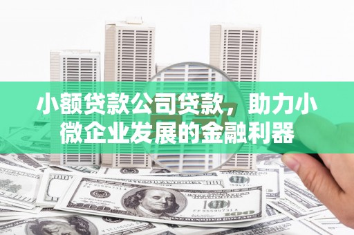 南城小额贷款公司贷款，助力小微企业发展的金融利器
