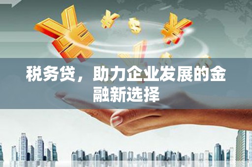 南城税务贷，助力企业发展的金融新选择