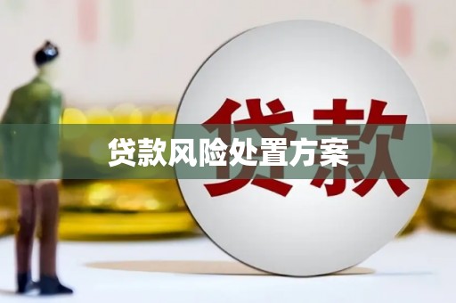 南城贷款风险处置方案