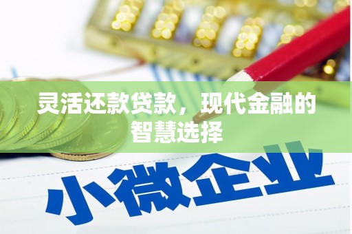 南城灵活还款贷款，现代金融的智慧选择