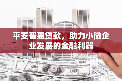 南城平安普惠贷款，助力小微企业发展的金融利器