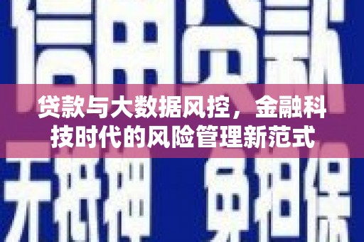 南城贷款与大数据风控，金融科技时代的风险管理新范式