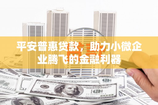 南城平安普惠贷款，助力小微企业腾飞的金融利器