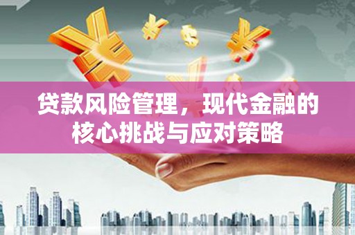 南城贷款风险管理，现代金融的核心挑战与应对策略