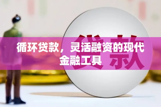 南城循环贷款，灵活融资的现代金融工具