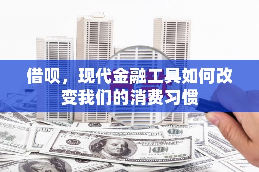 南城借呗，现代金融工具如何改变我们的消费习惯