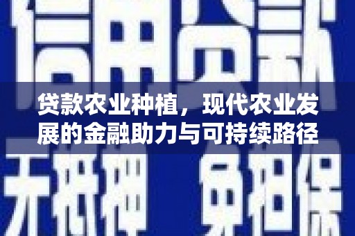 南城贷款农业种植，现代农业发展的金融助力与可持续路径