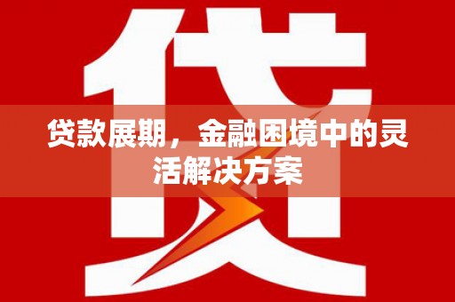 南城贷款展期，金融困境中的灵活解决方案