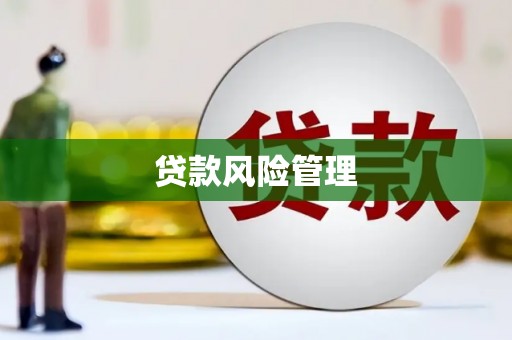 南城贷款风险管理