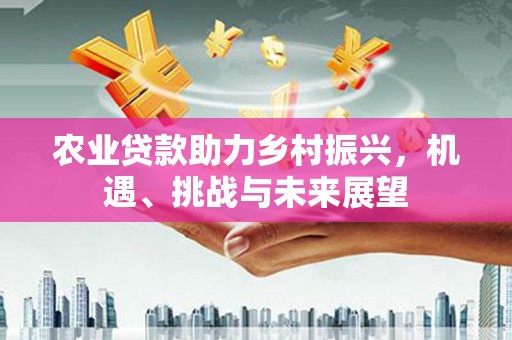 南城农业贷款助力乡村振兴，机遇、挑战与未来展望
