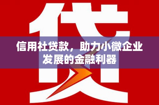 南城信用社贷款，助力小微企业发展的金融利器