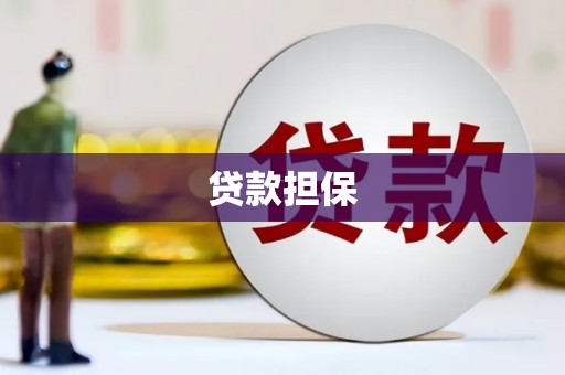 南城贷款担保