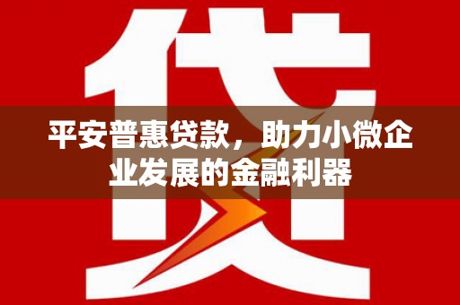 南城平安普惠贷款，助力小微企业发展的金融利器
