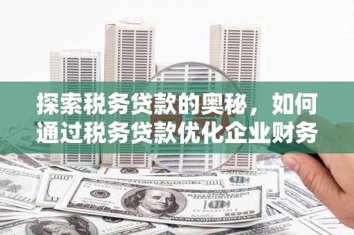 南城探索税务贷款的奥秘，如何通过税务贷款优化企业财务