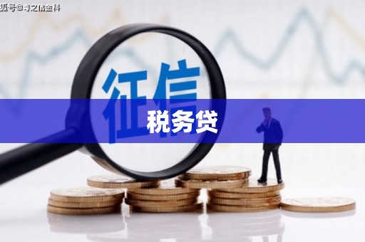 南城税务贷