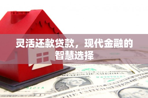 南城灵活还款贷款，现代金融的智慧选择
